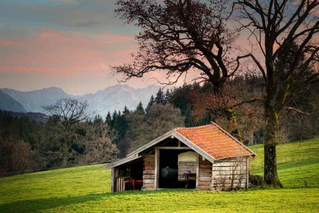 How to Build a Shed