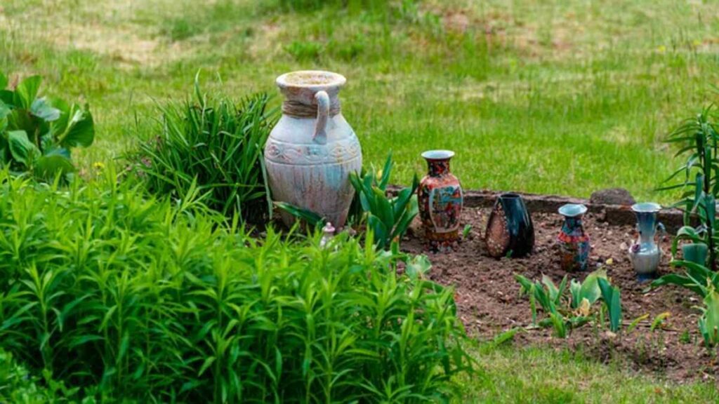 Basics of Plants