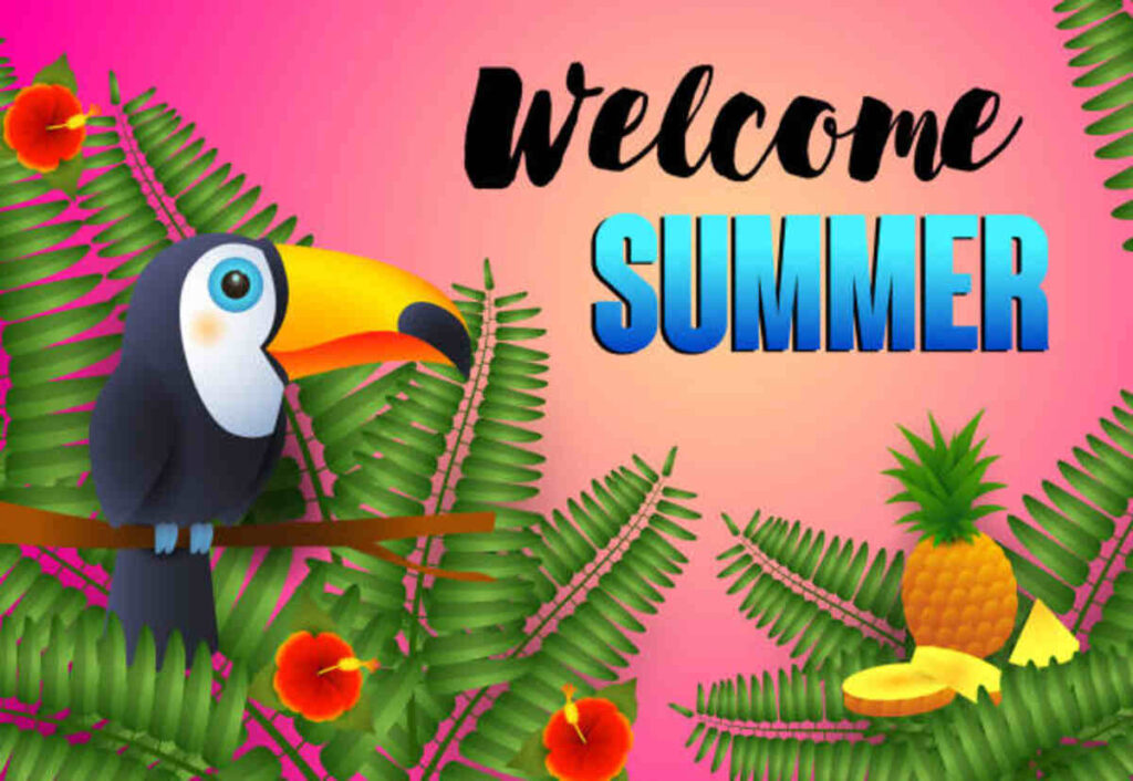 Toucan Makes Learning Immersive