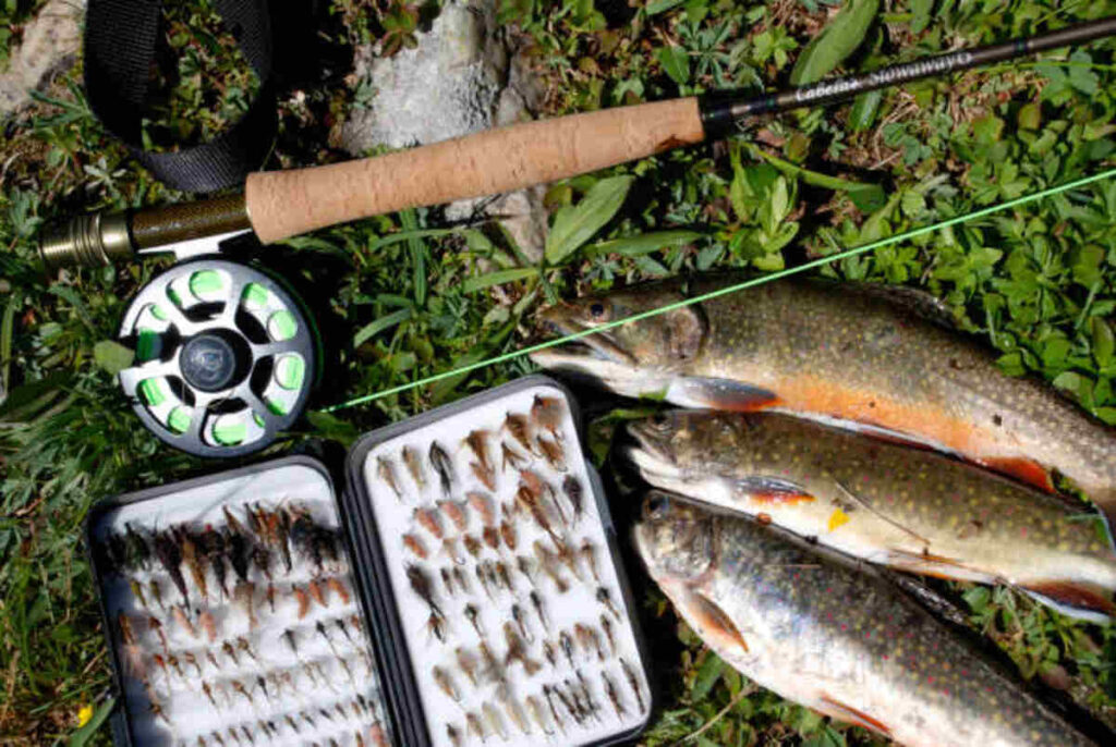 Lake Erie Tributary Fishing Report