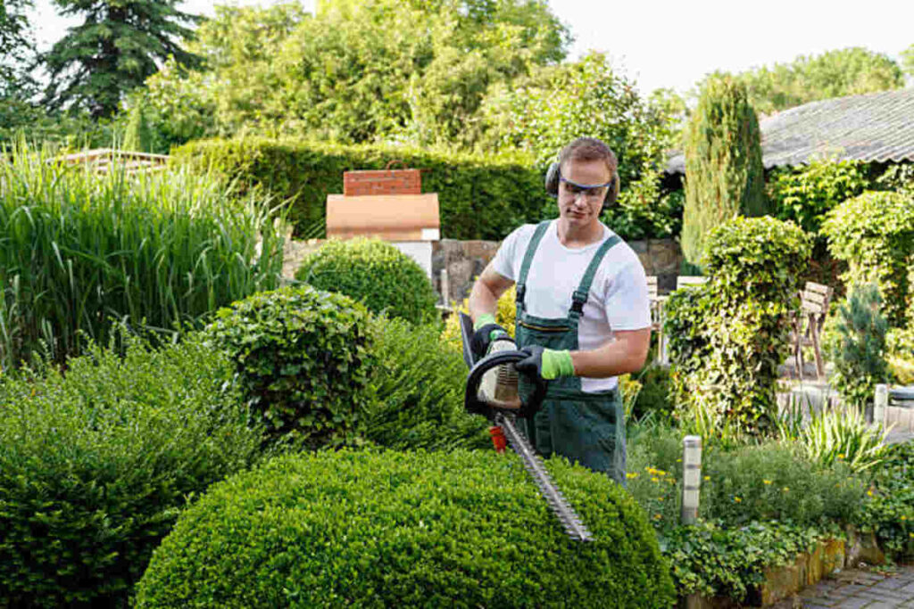 Farm and Garden Jobs on Craigslist