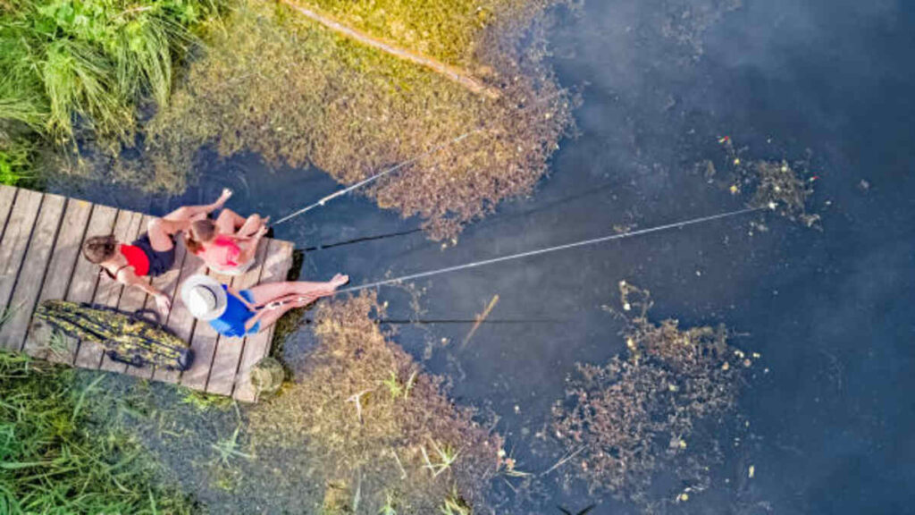 Farmhouse Rental With Fishing Activities