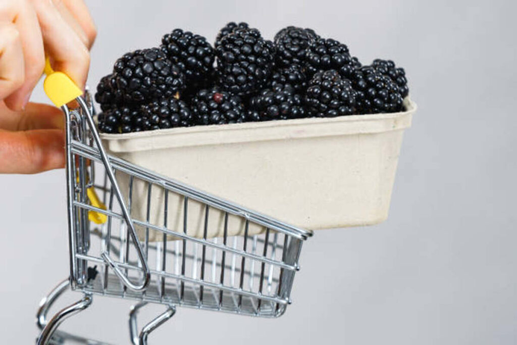 Buy Mulberry Fruit Online