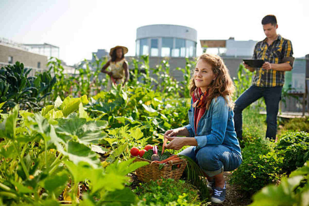 What Happiness Is and How to Cultivate It