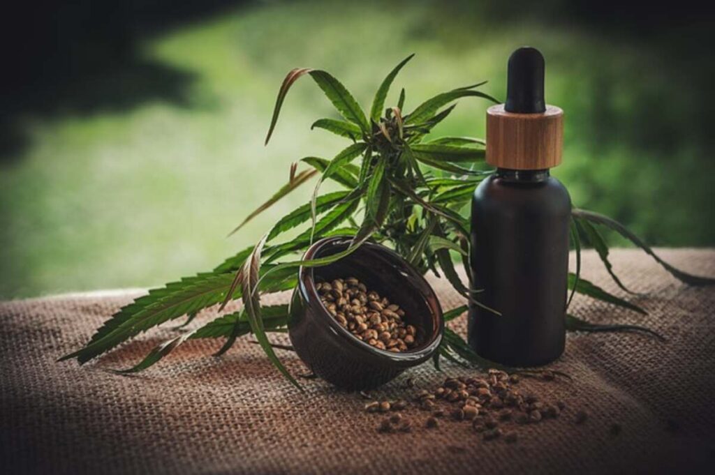 Kratom vs . Weed Understanding the Variances